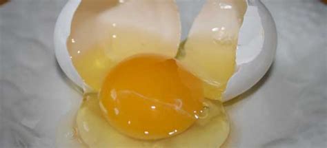 Illness from salmonella can be serious and is more dangerous for certain people. Why should we do consumption of raw egg? | Healthy Panacea