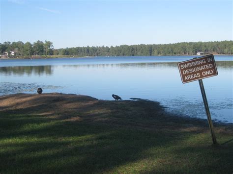 We did not find results for: Paul B. Johnson State Park Mississippi - Sharing Horizons