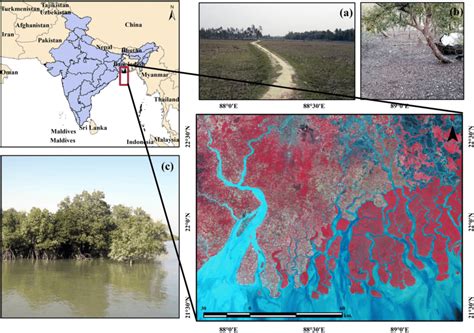 The Location Map Of This Study Area Indian Ganga Delta Is A World