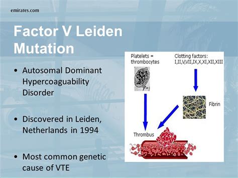 A Pilot With Dvtfactor V Leiden Ppt Video Online Download