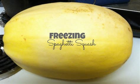 Winter squash makes delicious casseroles, soups, stuffing, and baked goods. How to freeze spaghetti squash | Freezing spaghetti squash ...