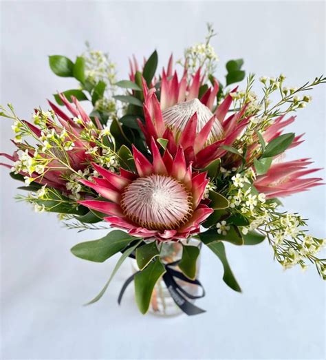 King Protea Bouquet The Gorgeous Flower Company