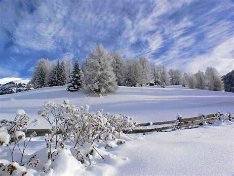 Beautiful Snow Scenes ~ Christmas Winter Wonderland