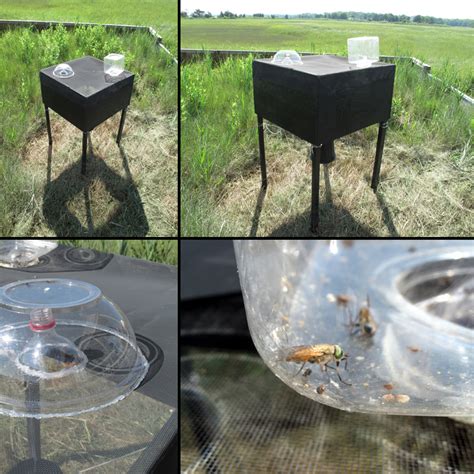 Homemade Fly Traps For Horses My Bios