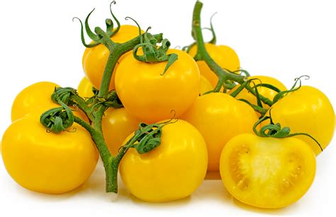 On The Vine Yellow Tomatoes Information Recipes And Facts