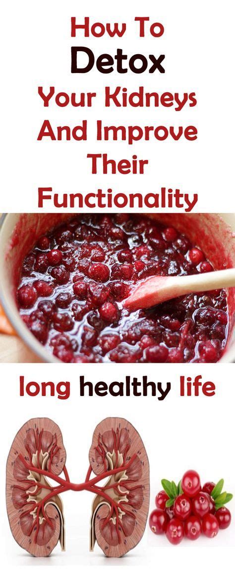 How To Detox Your Kidneys And Improve Their Functionality Healthy