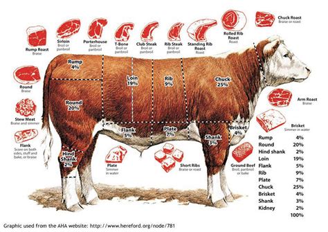 Cuts Of Beef And How To Cook Them Lowvelder