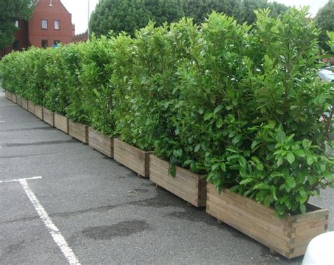 Beautiful Yet Functional Privacy Fence Planter Boxes Ideas 13 Privacy