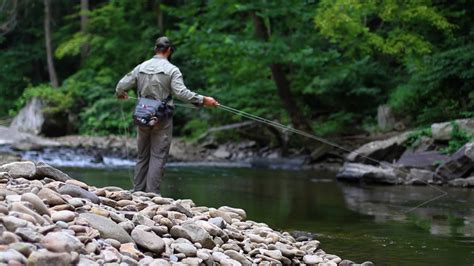 Get ACTIVE in the Park: Fly Fishing at New River Gorge - YouTube