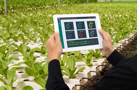 How Iot Technology Is Helping To Revolutionise The Agriculture Sector