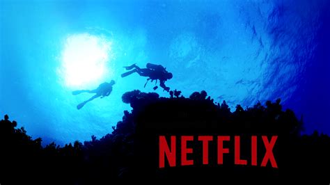 5 Of The Best Must Watch Ocean Documentaries On Netflix
