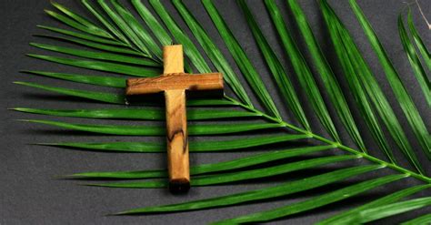 Palm Sunday Quotes From The Bible 2021 Palm Sunday 2021 Palm Sunday