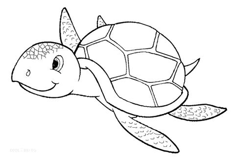 Realistic Sea Turtle Drawing at GetDrawings | Free download