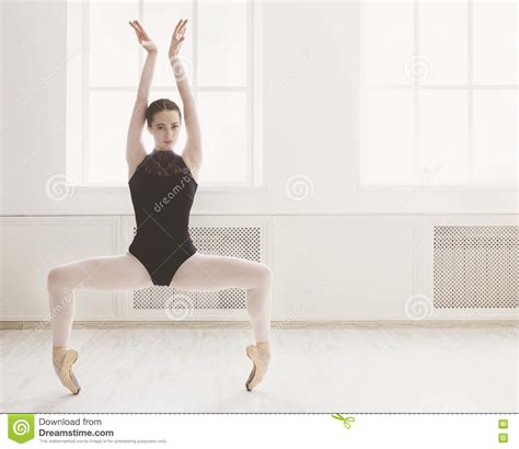 Le Beau Ballerine Se Tient En Position De Plie De Ballet Image Stock