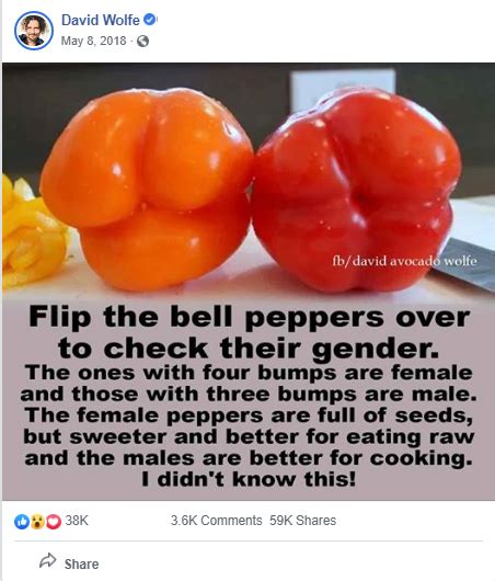 No Bell Peppers Dont Have A Gender Fact Check