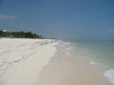 Beautiful Morning At The Beach Picture Of Excellence Playa Mujeres