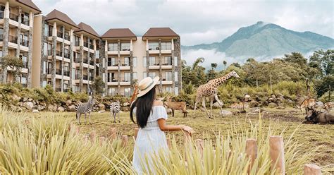10 alasan seru menginap bareng keluarga di Baobab Safari Resort, Pasuruan