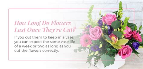 Flowers can be dried and preserved in a number of ways, from air drying. How Long do Flowers Last? | Comprehensive Guide | Ode à la ...