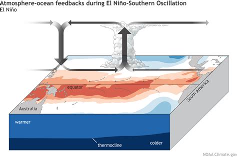 South american fishermen first noticed periods of unusually warm water in the pacific ocean in the the full name they used was el nino de navidad, because el nino typically peaks around december. L'ascesa di El Niño e La Niña - La Macchina del Tempo