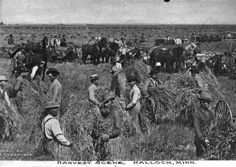 Harvest Scene Photograph Wisconsin Historical Society