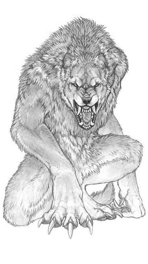 How To Draw Werewolf And Moon Vampires And Werewolfs How To Draw