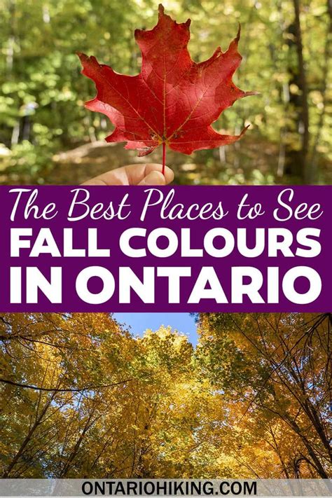 25 Best Places To See Fall Colours In Ontario Ontario Travel Canada
