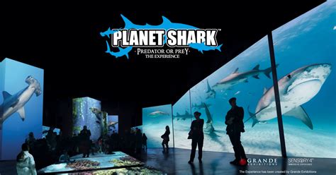 Planet Shark Den Blå Planet