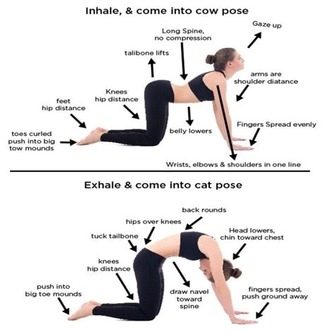 It's also a great way to connect breath and movement. 7 Effective Yoga Exercise for Back Pain relief | Effective ...