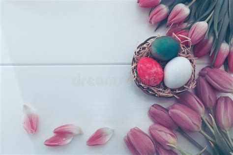 Easter Eggs In The Nest And Pink Tulips Stock Image Image Of Basket