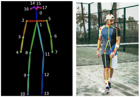 Deep Learning Based Human Pose Estimation A Survey Nweon Paper Sexiezpicz Web Porn