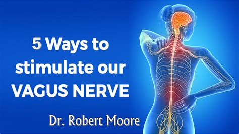 5 Ways To Stimulate Our Vagus Nerve By Dr Robert Moore Brighton Mi