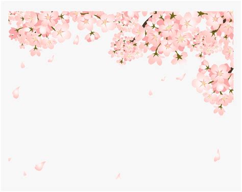 Sakura cherry blossom transparent gif on gifer by zuhn. Falling Cherry Blossom Png - عقد قران للتصميم سناب ...