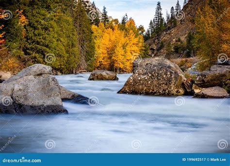 Fall Colors On Wenatchee River Stock Image Image Of Foliage