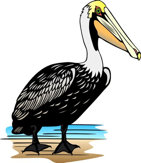 Pelican Clip Art At Vector Clip Art Online Royalty Free