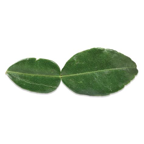 You can use these in the same way you use bay leaves. Fresh Kaffir (Makrut) Lime Leaves | Marx Foods
