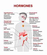 What Can You Do To Balance Your Hormones