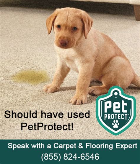 It's a color safe variety and works easily with cleaning agents — resisting fading and spot staining. Stainmaster Pet Protect Technology infused flooring sale