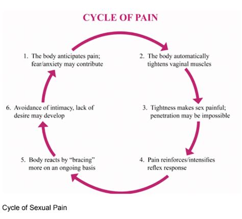 Female Sexual Pain Treatment Sydney Pelvic Clinic