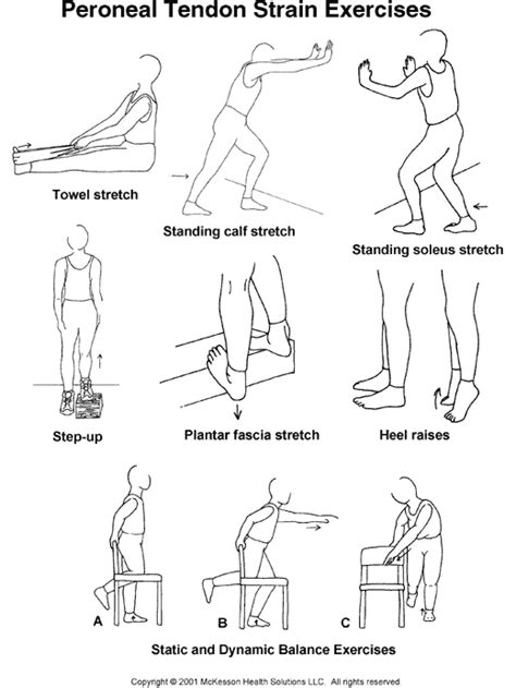 Muscle Strengthening Peroneal Muscle Strengthening Exercises