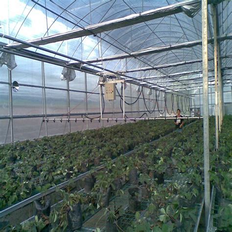 Different flowers have a specific place they grow and are just shipped in a.s.a.p. Best Quality Cheapest Greenhouse Irrigation System Multi ...