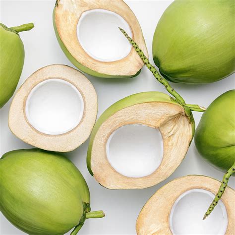 Florida Fresh Coconut Organic Young Buy Green Coconuts