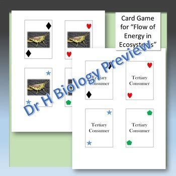 Preparing for the biology staar test will take time, effort, and practice. Biology STAAR Review - Ecology and Energy Flow by DrH Biology | TpT