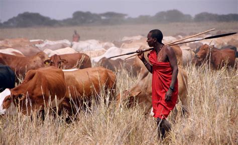 Nigeria Stopping Nigerias Spiralling Farmer Herder Violence