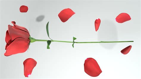 Red Rose 3d Model Cgtrader