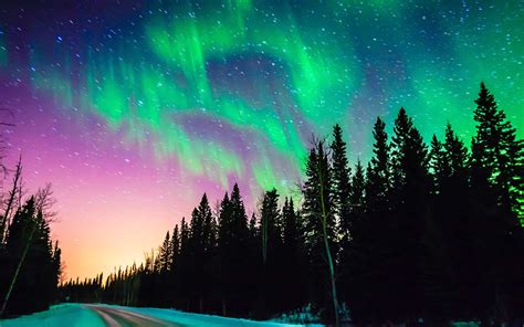 Fly To Alaska And See The Northern Lights For Cheap This Winter