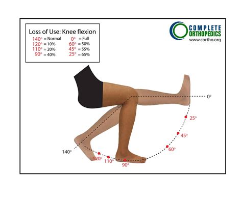 Knee And Tibia Best Hip And Knee Surgeon Ny Usa