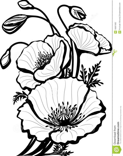 Per info contattare in messaggio ! Abbozzo Dei Fiori Del Papavero Illustrazione Vettoriale ...