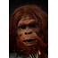 MISSING LINK 1988  Man Ape Heads And Parts Current Price $1250