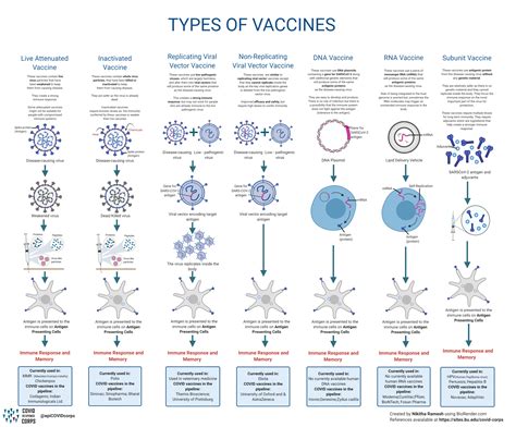 And sufficient supply of doses for entire population. Types of Vaccines Infographics | Epidemiology COVID-19 ...