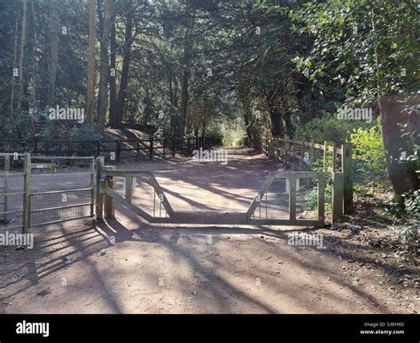 Bridle path gate Stock Photo - Alamy